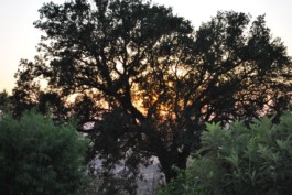 Yoga-Klasse — Yoga in Hildesheim und Hamburg