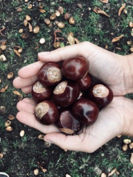 Yoga-Klasse — Yoga in Hildesheim und Hamburg