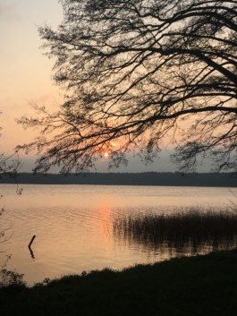 Yoga-Klasse — Yoga in Hildesheim und Hamburg