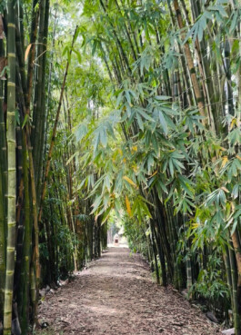 Yoga-Klasse — Yoga in Hildesheim und Hamburg